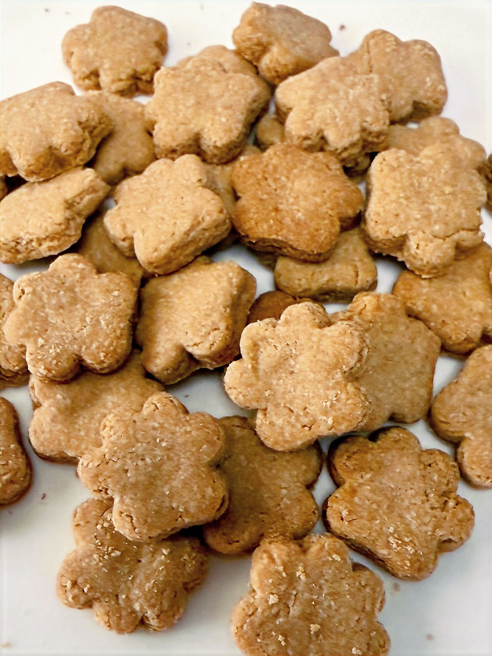 Thumbnail: Close-up of homemade bone-shaped dog treats showing texture, natural crunchy dog biscuits made with simple ingredients