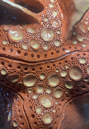 Gemma Florifera | Detail foto