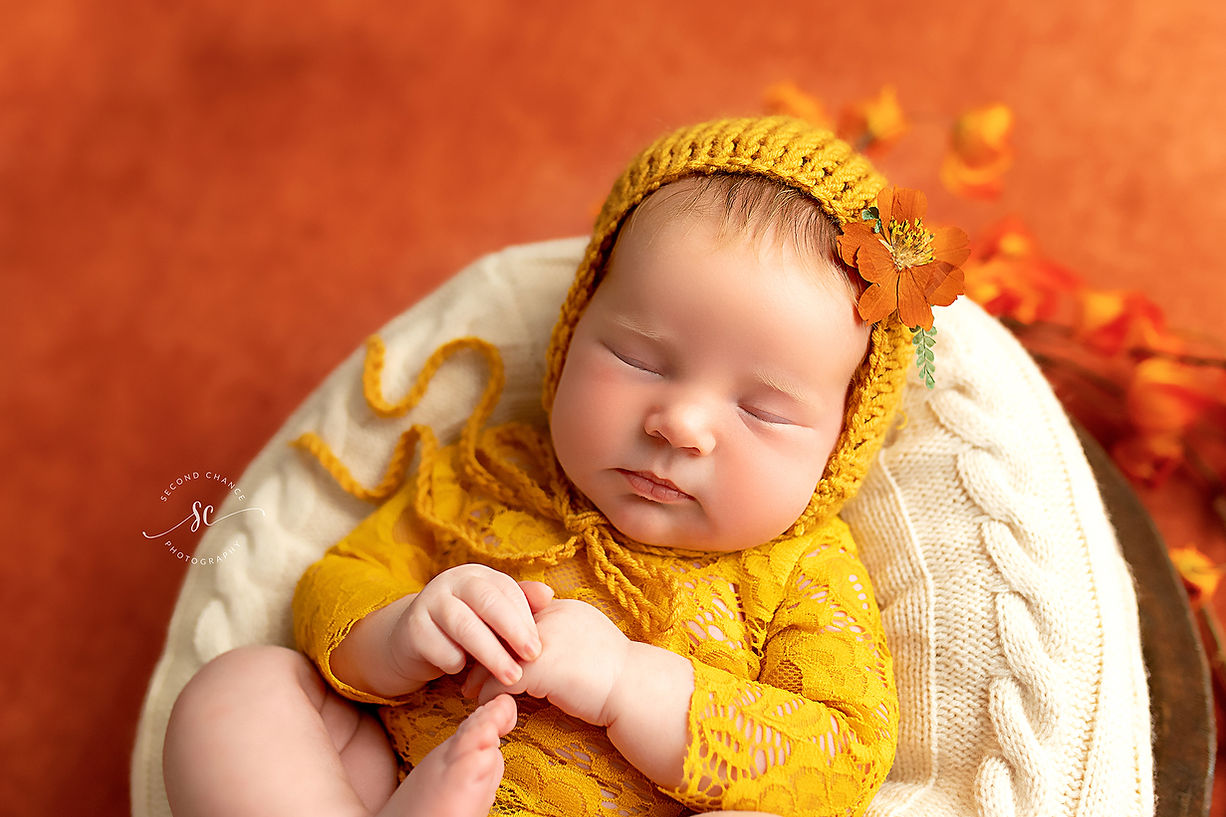 Newborn Photographer