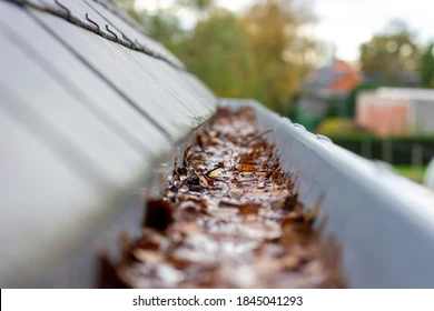 gutter cleaning