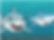 Animated sharks displaying teeth and fins while swimming. From BrainPOP's movie on Sharks.