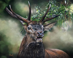 Crowned by Autumn