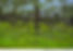 <p class="font_8">"The Seattle artist’s new exhibit of landscape paintings is called “A Beautiful Day in Paradise,” but what that title doesn’t tell you is that this is a “paradise” explored with a heavy foot on the gas pedal. Holcomb’s oils on canvas capture familiar Puget Sound sights at high speeds. Sights in the background may be in focus, but the foreground is a roadside automotive blur."link to the <span style=""><a dataquery="#appbuilder_80057943"><span style="font-style:italic;">Seattle Times</span> arts listing</a></span></p>
