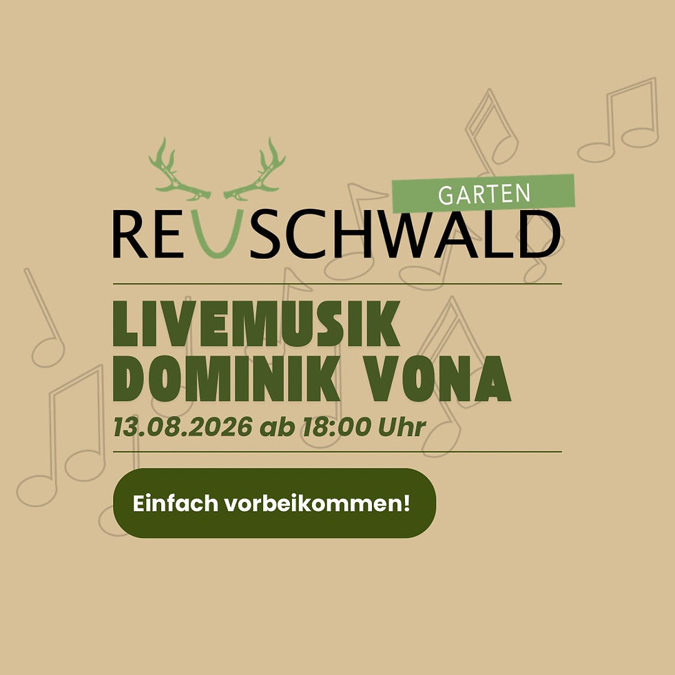 Livemusik mit Dominik Vona