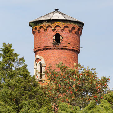 Laidunina-1660.jpg