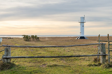 Emmaste alumine-1769.jpg