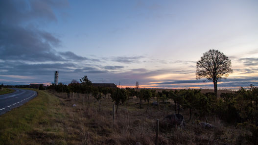 Orjaku sihi alumine tulepaak-1707.jpg