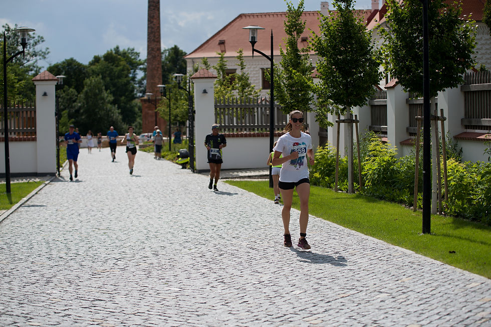 CSC_3797