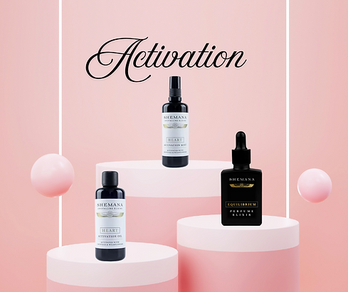 Activation Bundle.png