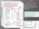 insurance claim presentation