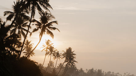 A tranquil beach scene at Midigama, with golden sands meeting the calm ocean waves.