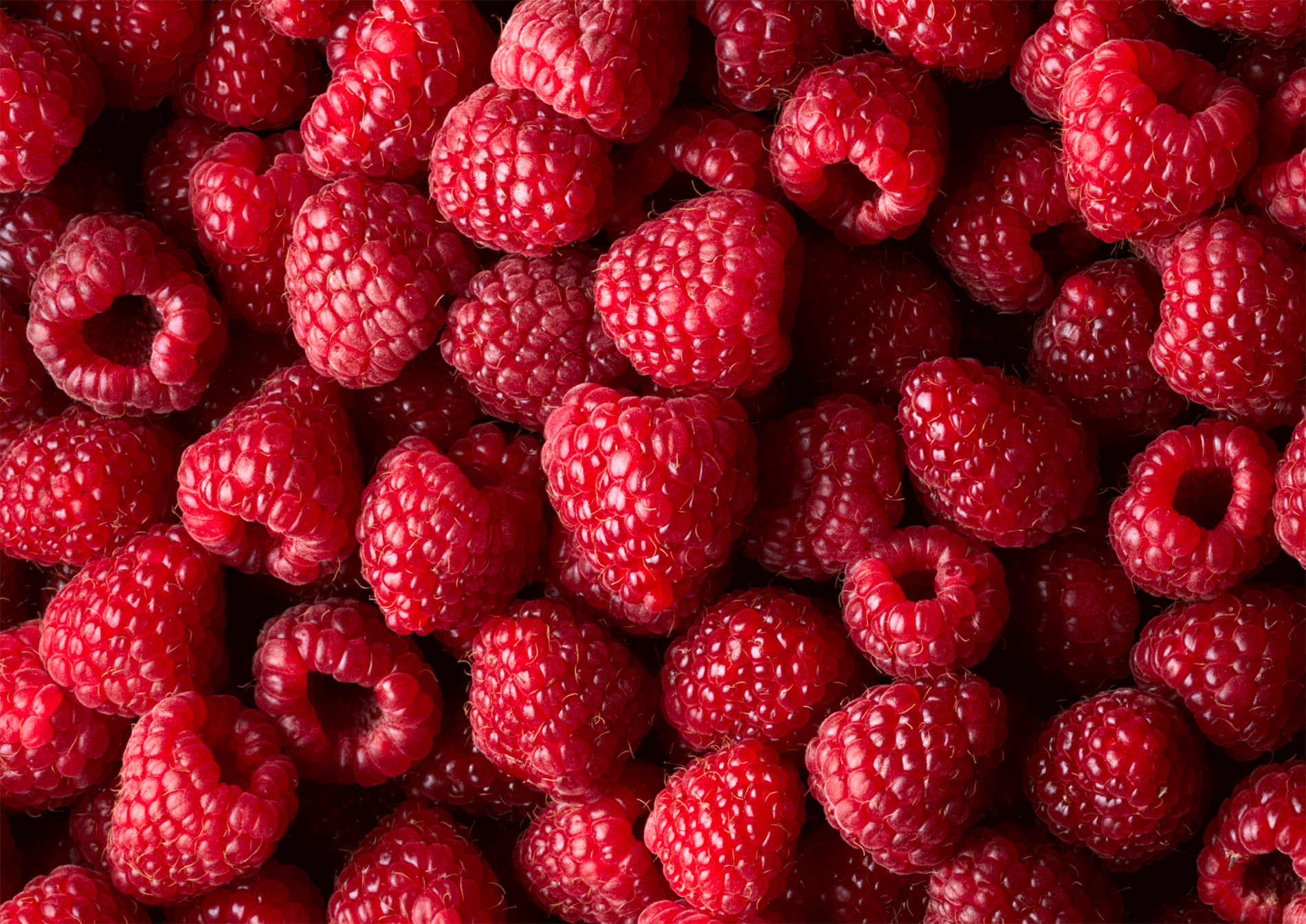 raspberry_anime