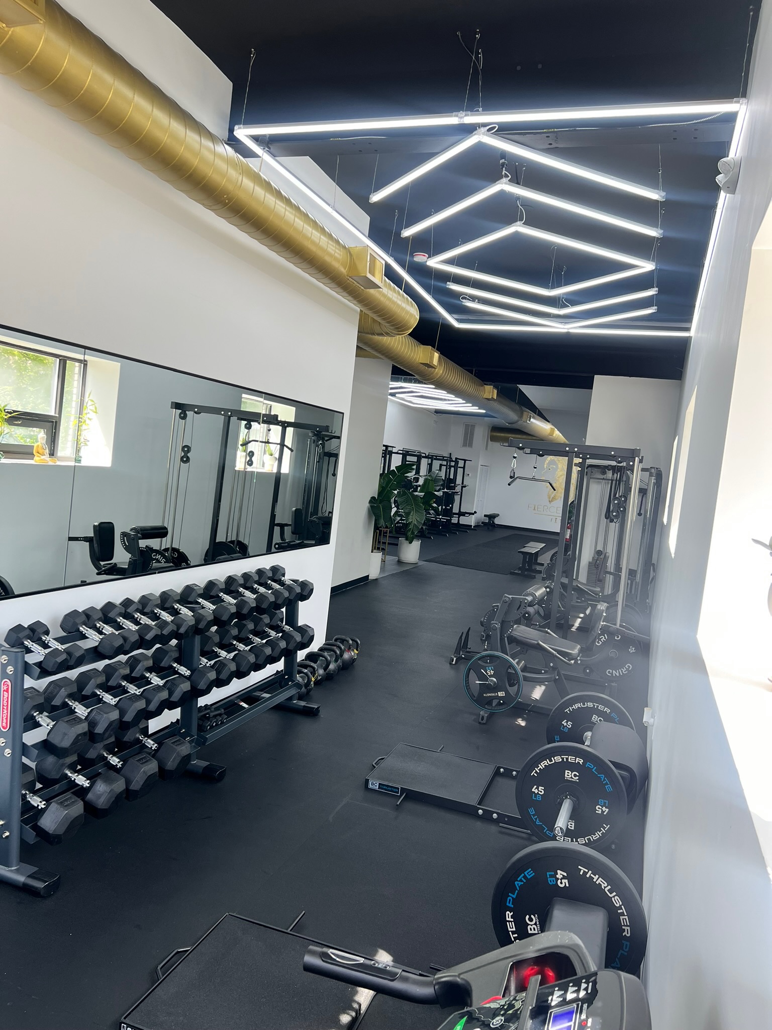 Fierce Lioness Fitness - Image 8