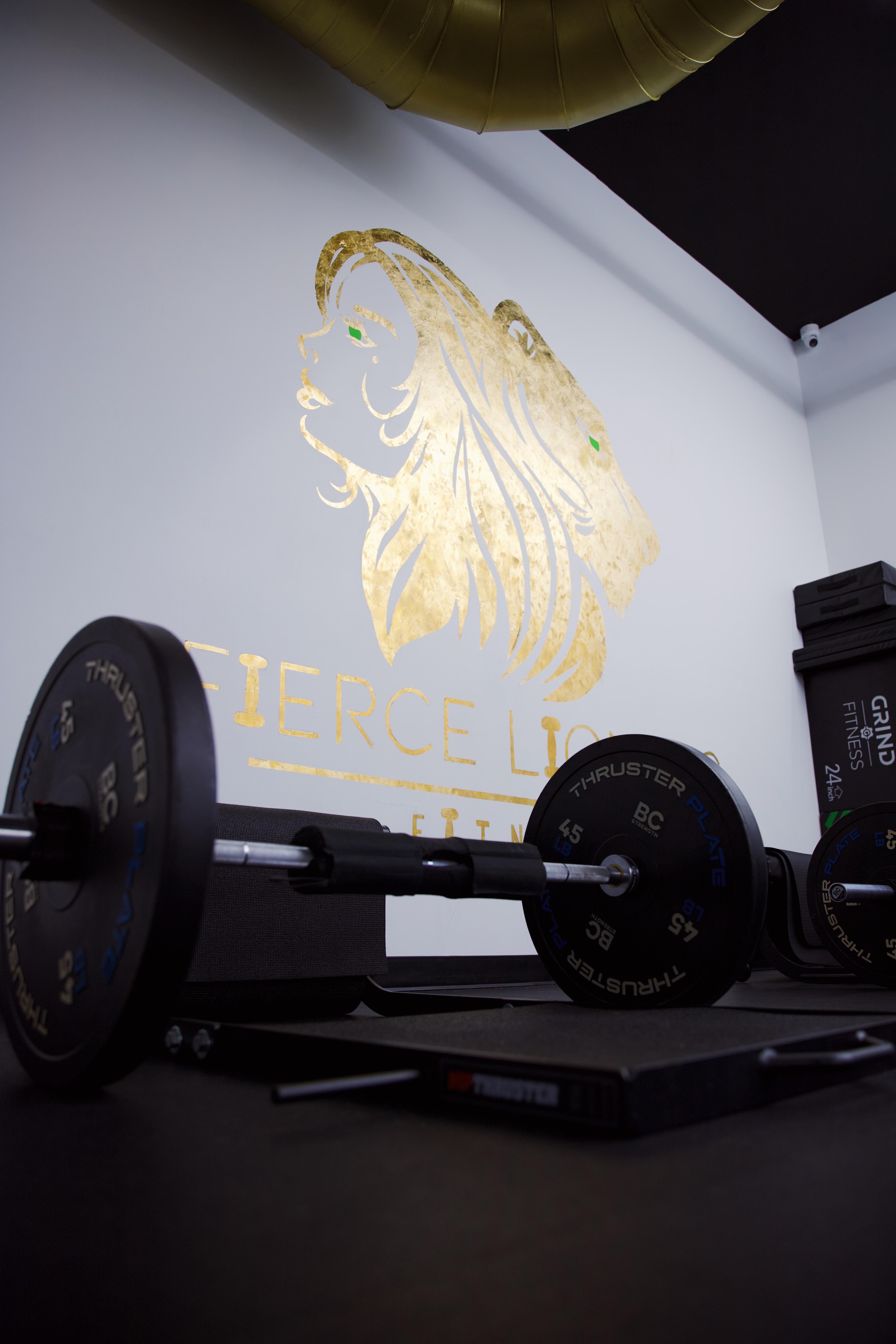 Fierce Lioness Fitness - Image 3