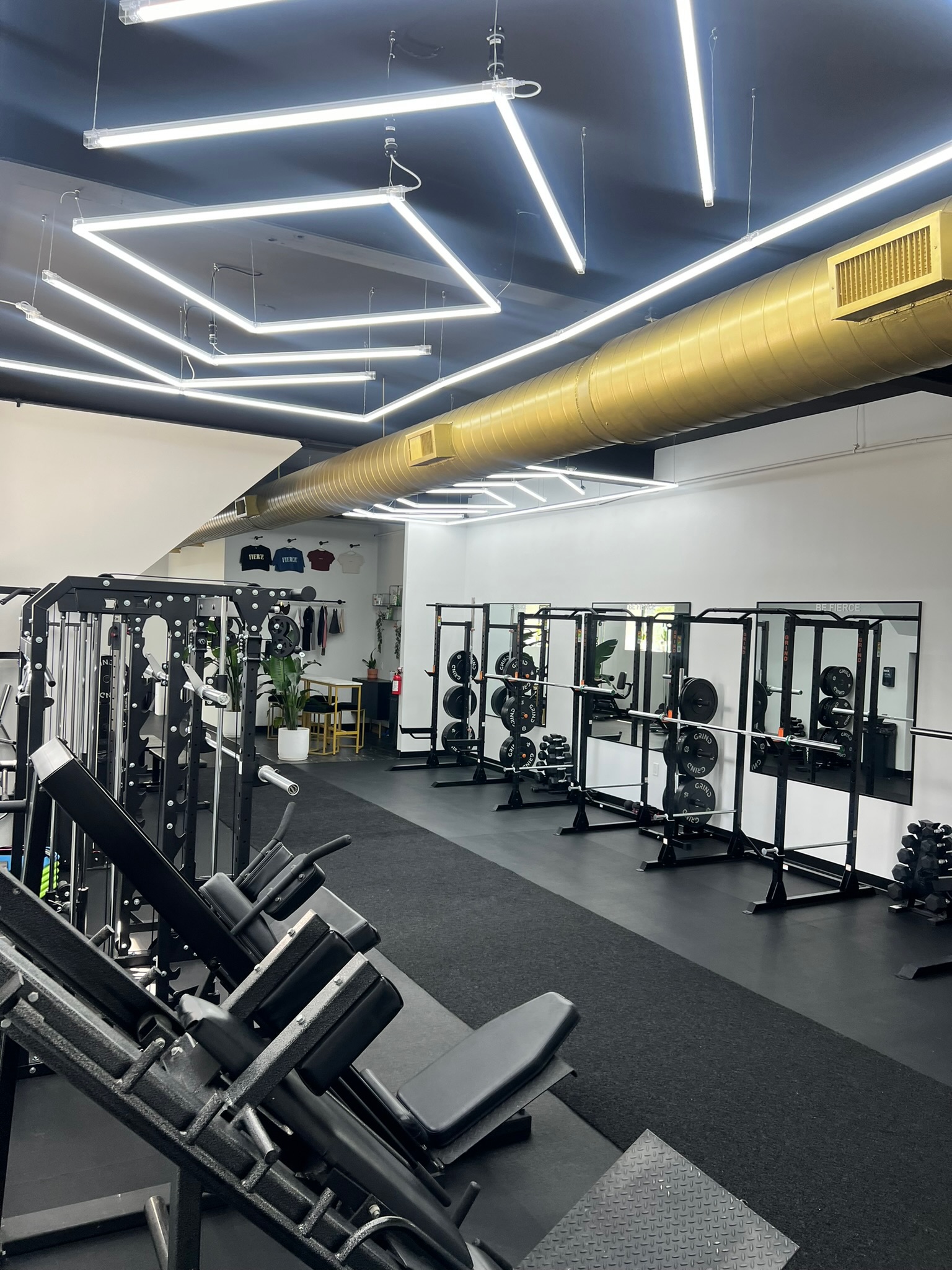 Fierce Lioness Fitness - Image 6