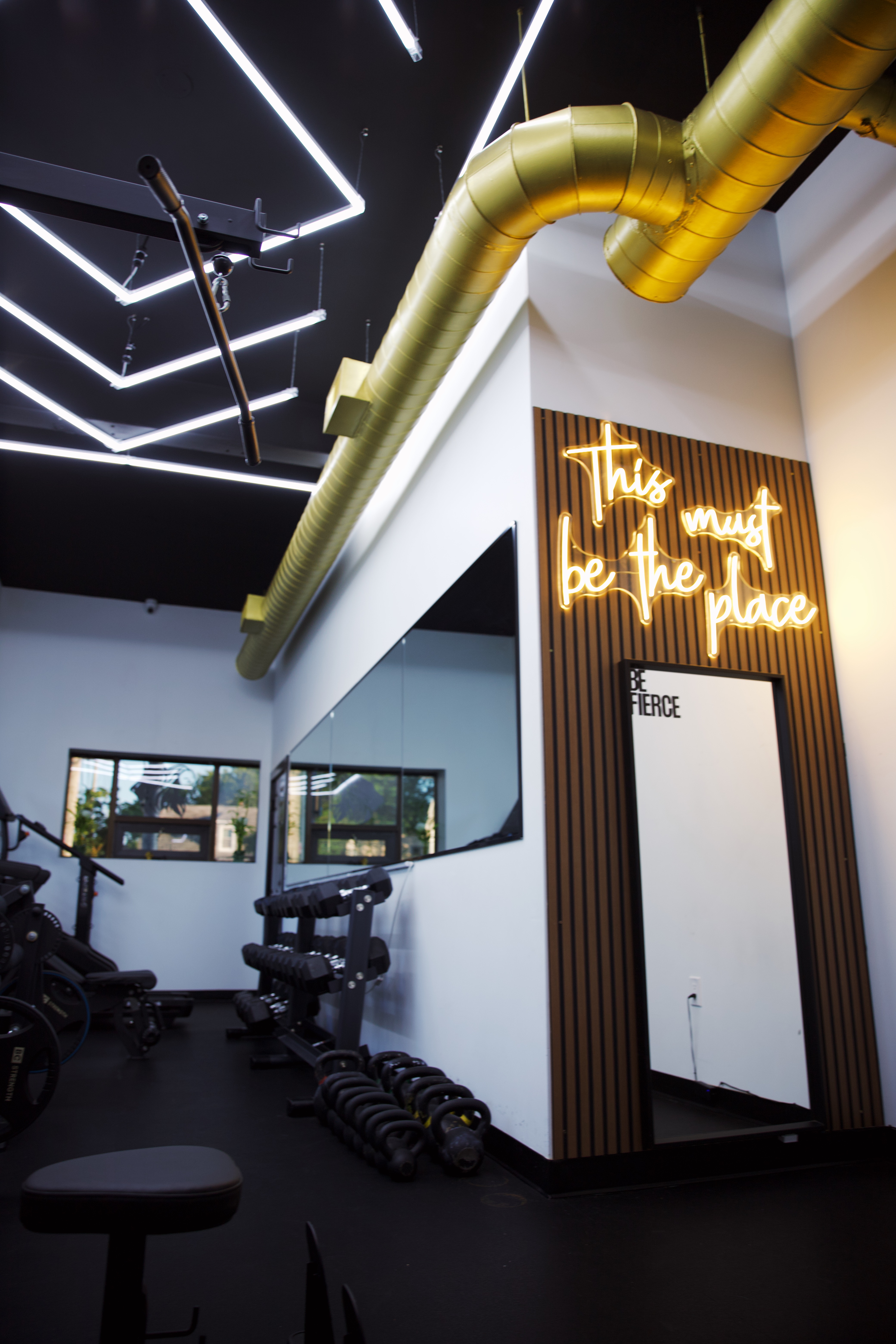 Fierce Lioness Fitness - Image 13