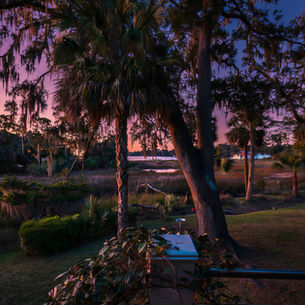 Coffee Bluff Savannah: One of the City’s Best-Kept Secrets