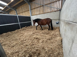 WhatsApp Image 2026-02-15 at 14.19.55 (1)