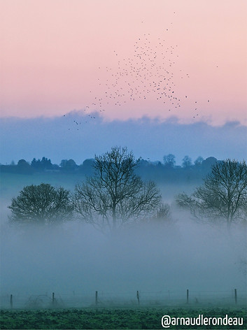 Le Perche au matin, par Arnaud Lerondeau