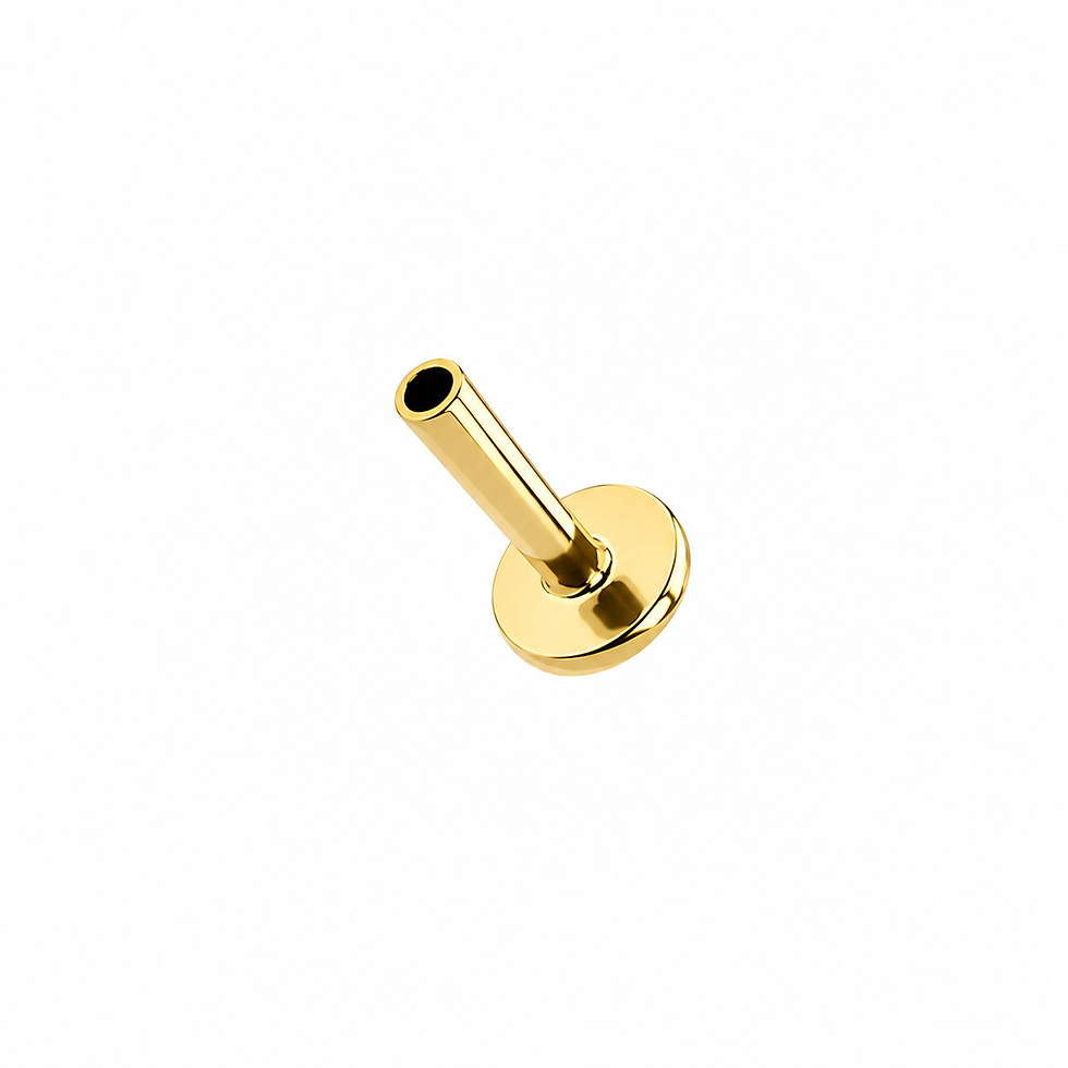 Labret Interne Seul Titane PVD GOLD stérile
