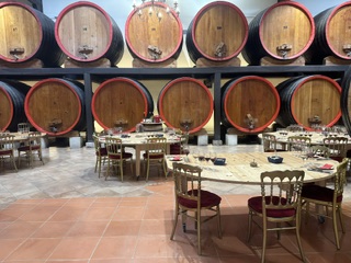 Wine tasting excursion in France during a river cruise
