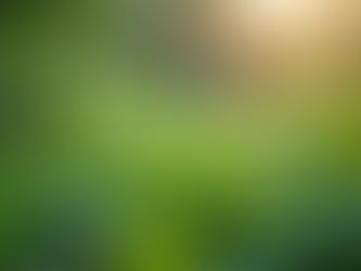 The Importance of Sustainable Living in Today's World