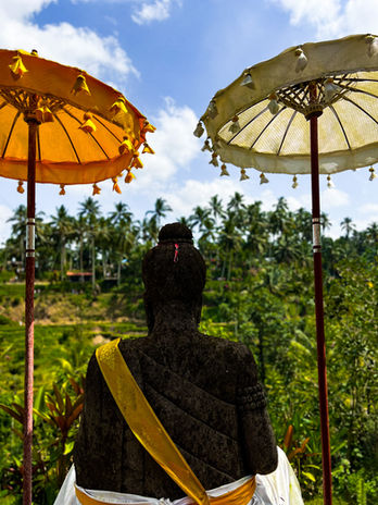 Tegalalang Reisterrassen, Tegelalang Rice Terrace, Ubud, Bali ©Image by Sophia Merkl