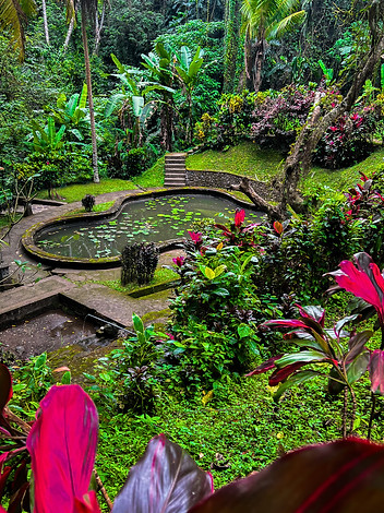 4A5D5850-A58B-4A2A-B25C-7ED7E862600D.jpeg