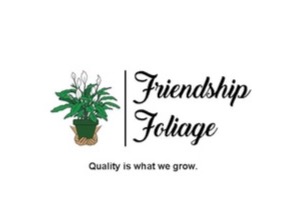 Indoor House Office Lobby Plant | Friendship Foliage | United States