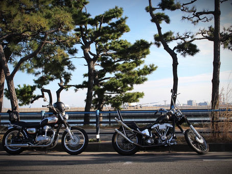 今年もご利用ありがとうございました。