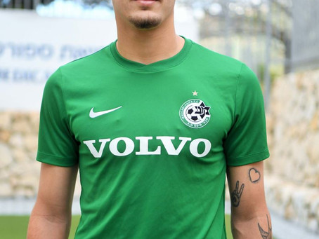 מחאת ה"רוב"? / מאת: אלכס מילוש