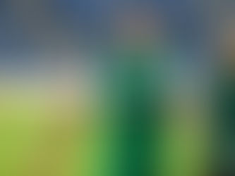 מישהו מתנדב לקחת את סרט הקפטן?