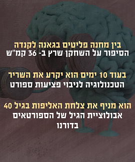 האם זו סופה (3).png