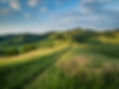 Green hills with Path.Stocksy.138552.jpg