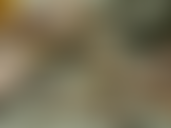 Collaborative Health Practitioners Promoting Growth