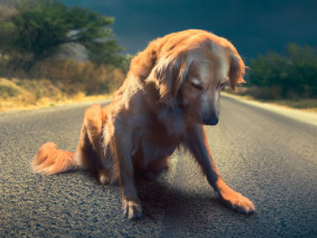 Severe Aggression and the Terrible Weight of Responsibility