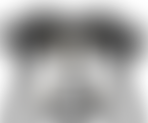 Trainers Say the Darndest Things