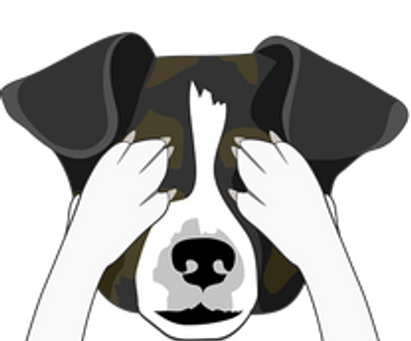 Trainers Say the Darndest Things