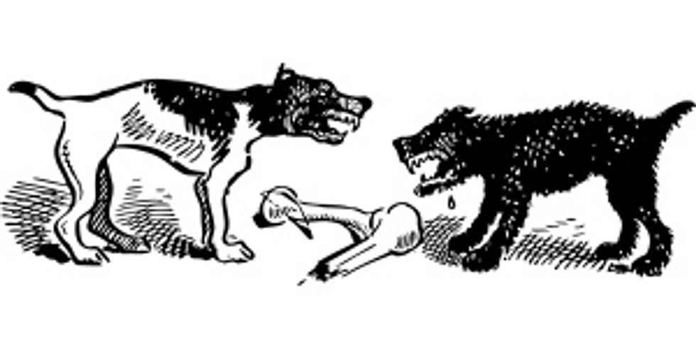 graphic of two dogs about to fight over a bone