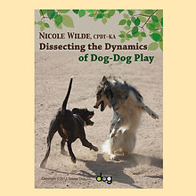 Dog-dog play.jpg