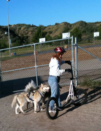 woman with urban mushing scooter and two dogs
