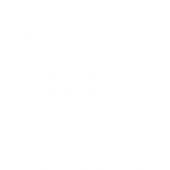 NicoleDengelFotographie_Logo_weiß.png