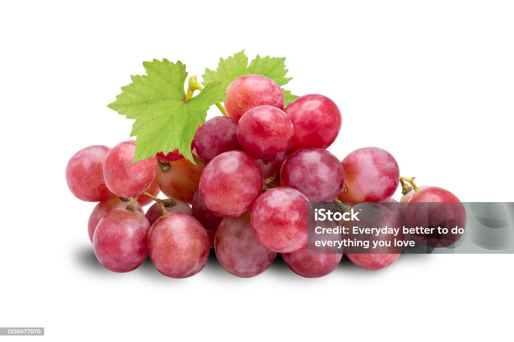 Uva roja xlb