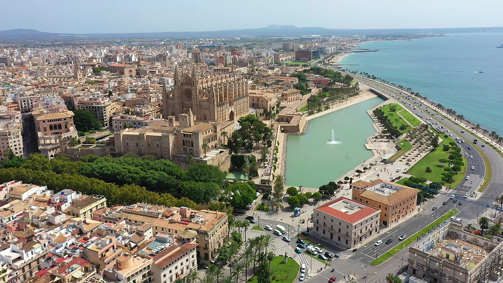 Real Estate Palma Building Palma