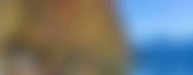 Wandern am Wolfgangsee