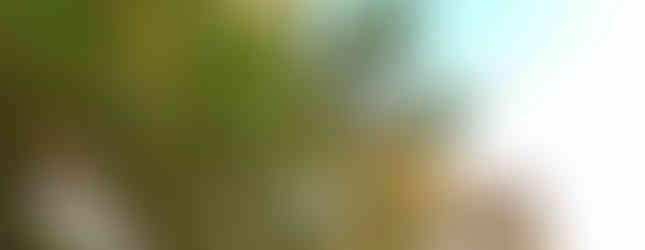 Herbsttage am Mondsee