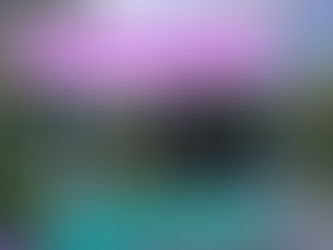 Jahresrückblick 2025: Erwarte das Unerwartete