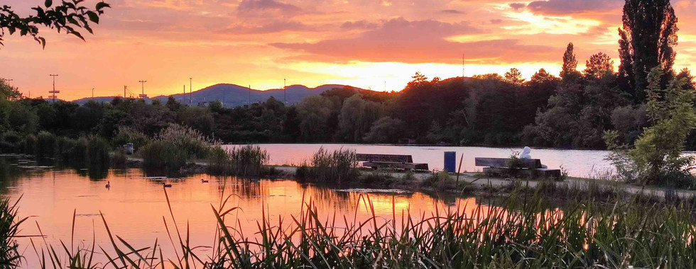 Ein Sommerabend in Wien
