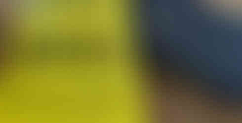 Wolf Haas Wackelkontakt