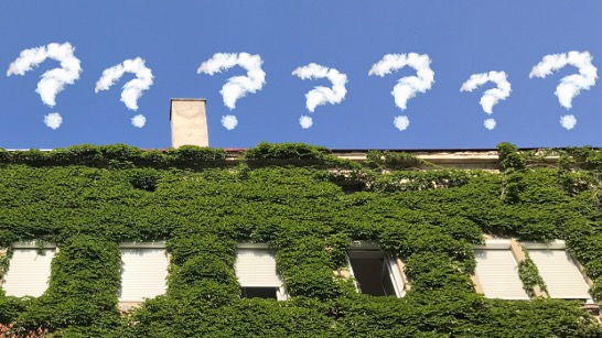 Fassadenbegrünung in Wien